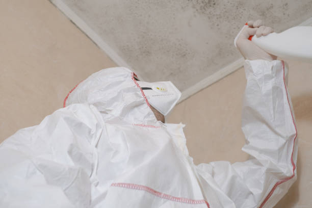 Best Certified Mold Removal  in Parsons, TN