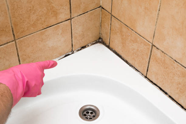 Best Emergency Mold Removal  in Parsons, TN